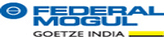 Federal Mogul Auto Parts